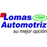LOMAS AUTOMOTRIZ,  S.A. DE C.V.